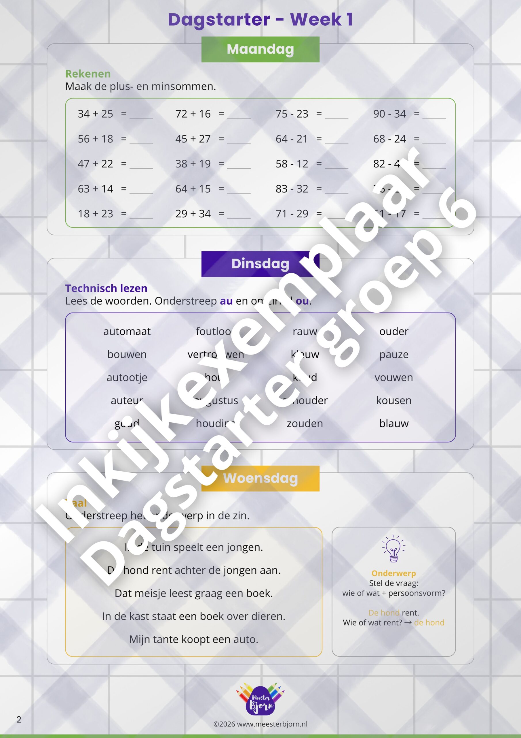 Dagstarter groep 6 – 20 weken - Afbeelding 2